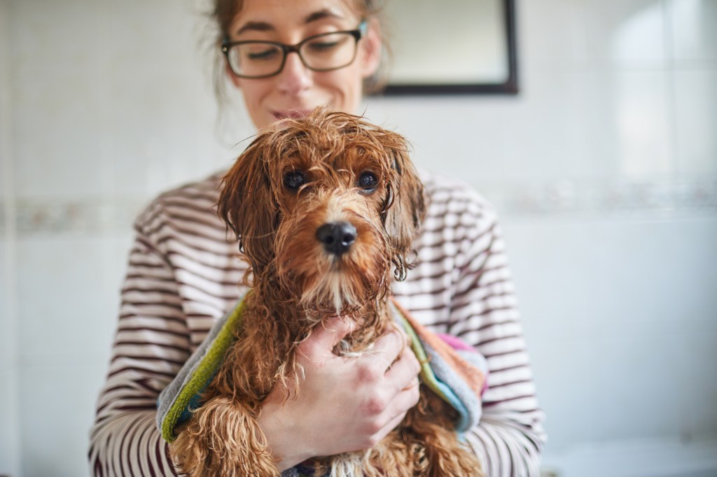 woman bathing her dog