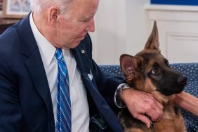 President Joe Biden sitting with German Shepherd dog Commander