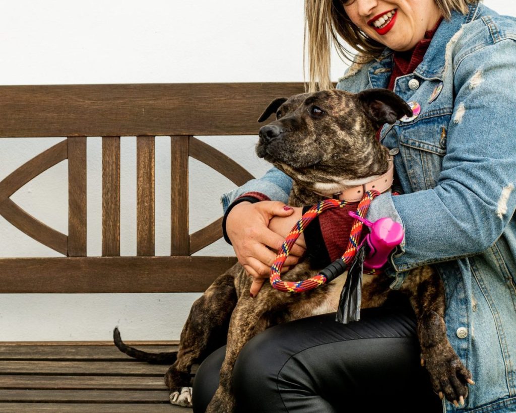 woman hugging pit bull mix dog on bench