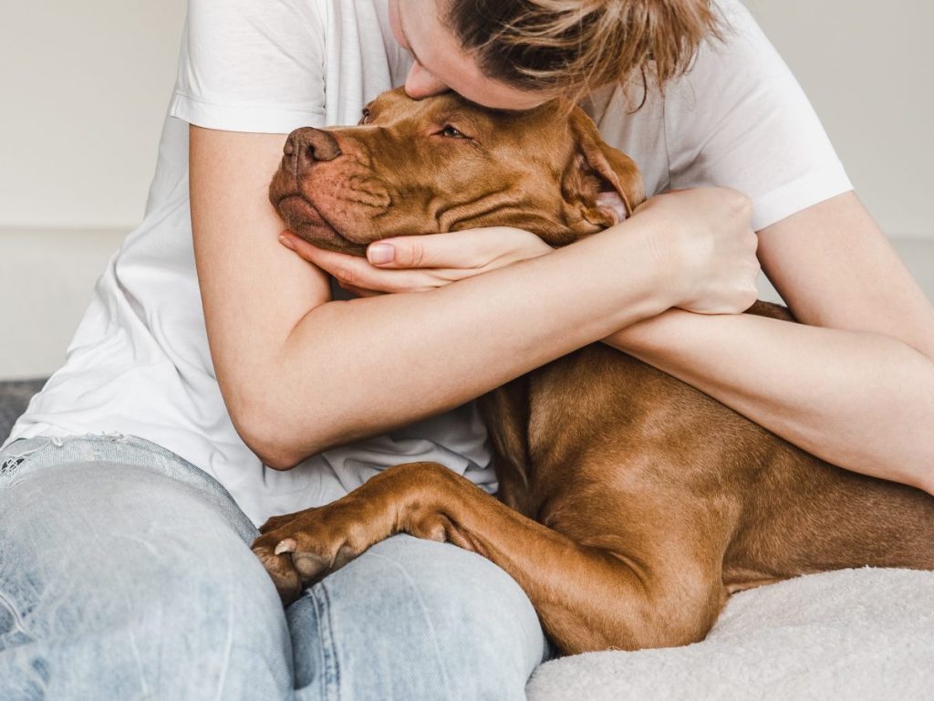 young woman hugging brown Pit Bull mix dog