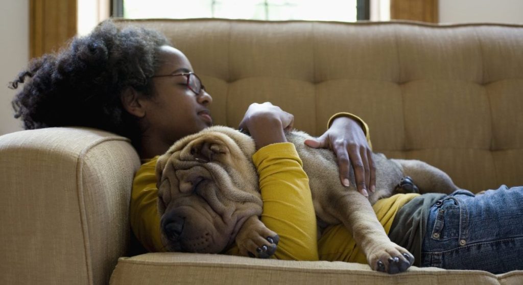 A young woman and her Shar-Pei napping on a couch