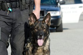 police officer holding k-9 on leash