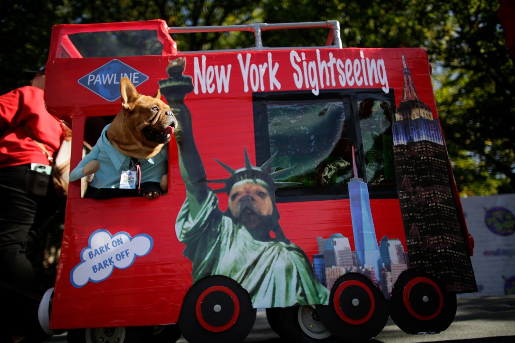 Dogs in costumes attend the 27th Annual Tompkins Square Halloween Dog Parade in Tompkins Square Park on October 21, 2017 in New York City, when there was no rain in the forecast. 