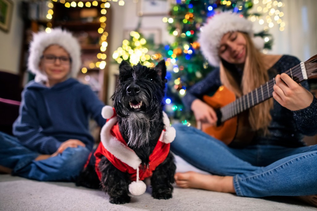Kids and dog singing carols near the Christmas tree.