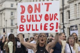 XL Bully dog ban