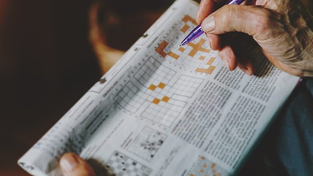 chewy meaty dog treat crossword