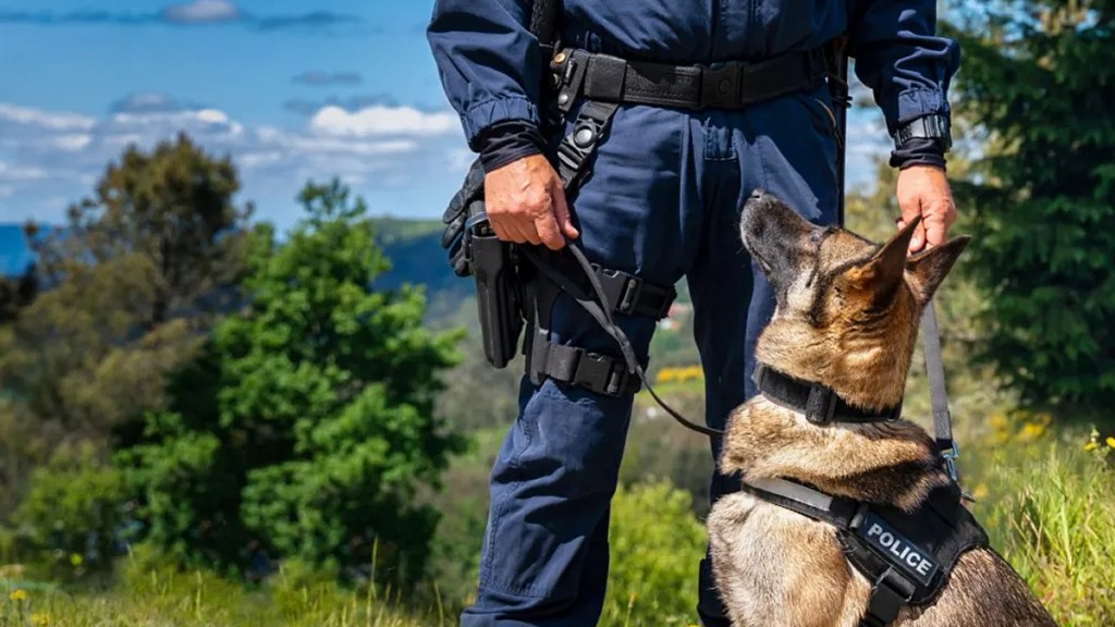 police dogs