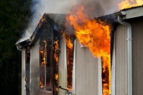 puppies rescued from house fire