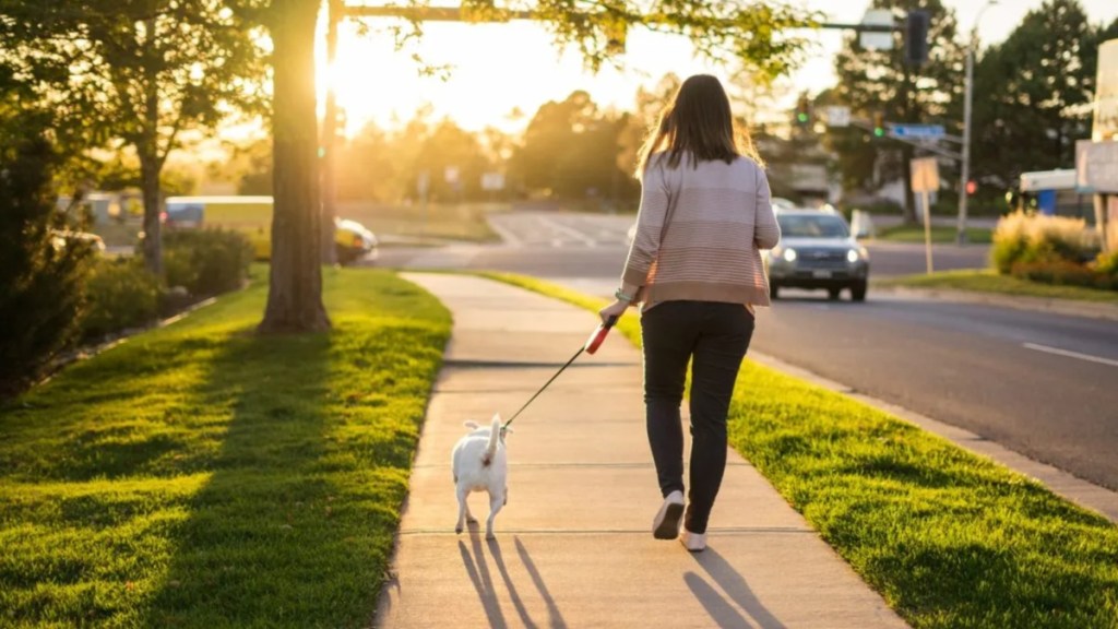 Woman walking her small dog on the sidewalk, a DC woman and her dog got nearly struck by a speeding stolen vehicle driving on the sidewalk