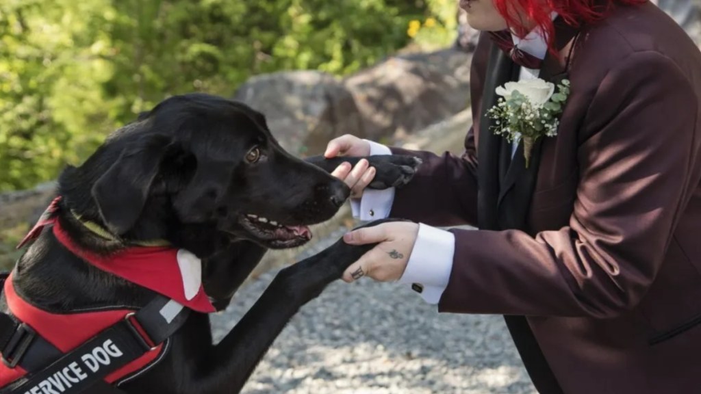 A red-haired woman holding her service dog by the paws, a lady with a hearing disability said her NEADS hearing service dog has changed her life.