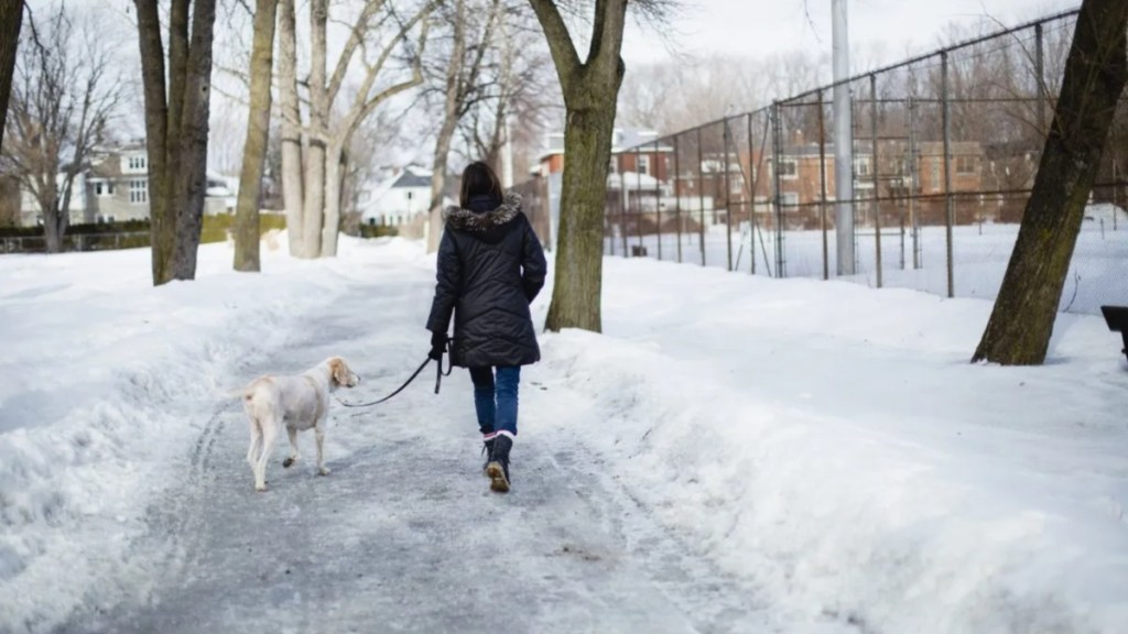 Woman walking her dog on a snowy road, an expert has explained that this can be too cold for dog walking.