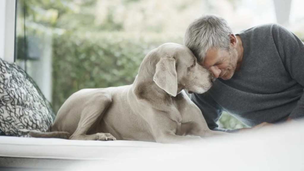 Mature man close to dog.