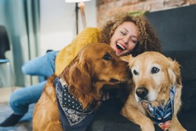 canine lovebirds