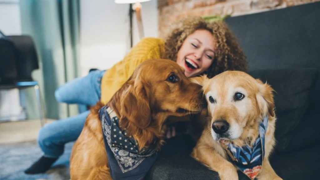 canine lovebirds