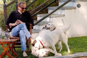 kevin costner new dog