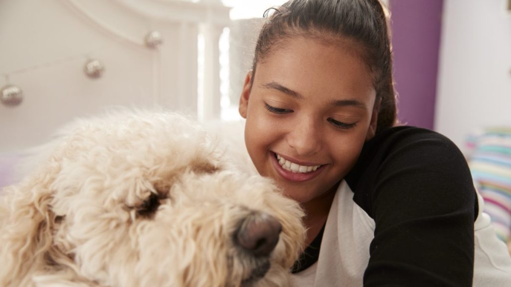 A Labradoodle dog with a girl, like the dog who became the 22nd therapy dog introduced in West Virgina schools.