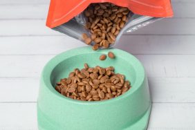 Pouring dog food into a bowl. Gentle Giants dog food recall.