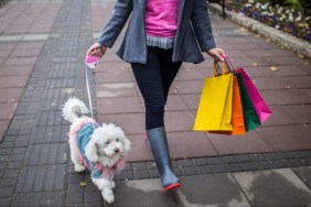 Woman carrying three colorful shopping bags walking her dog, recent findings have revealed the top ten most expensive states to buy a dog in the U.S.