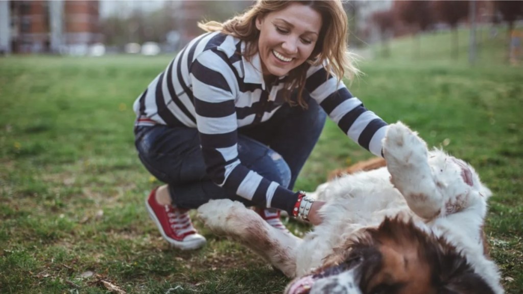 A woman playing with her dog, Forbes Advisor has released the best cities for pet owners in the United States.