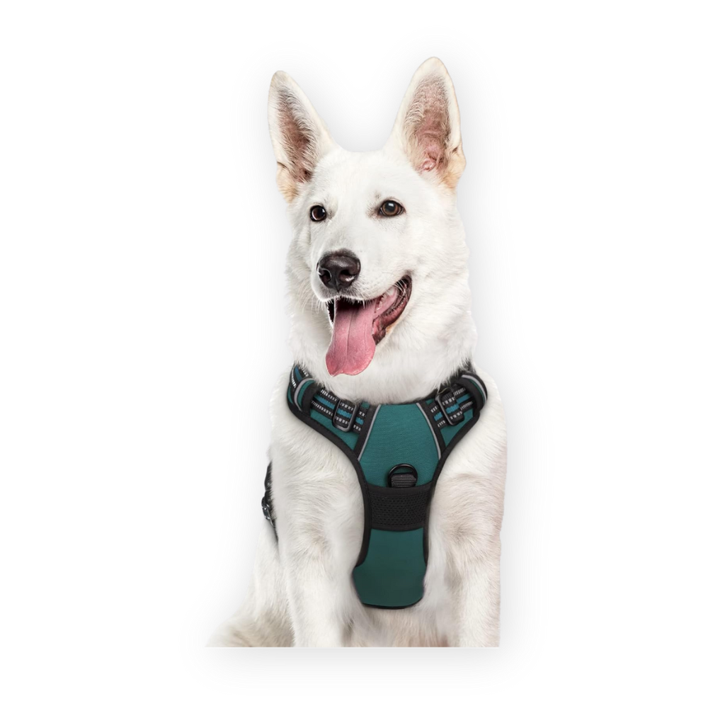 Eagloo Dog Harness