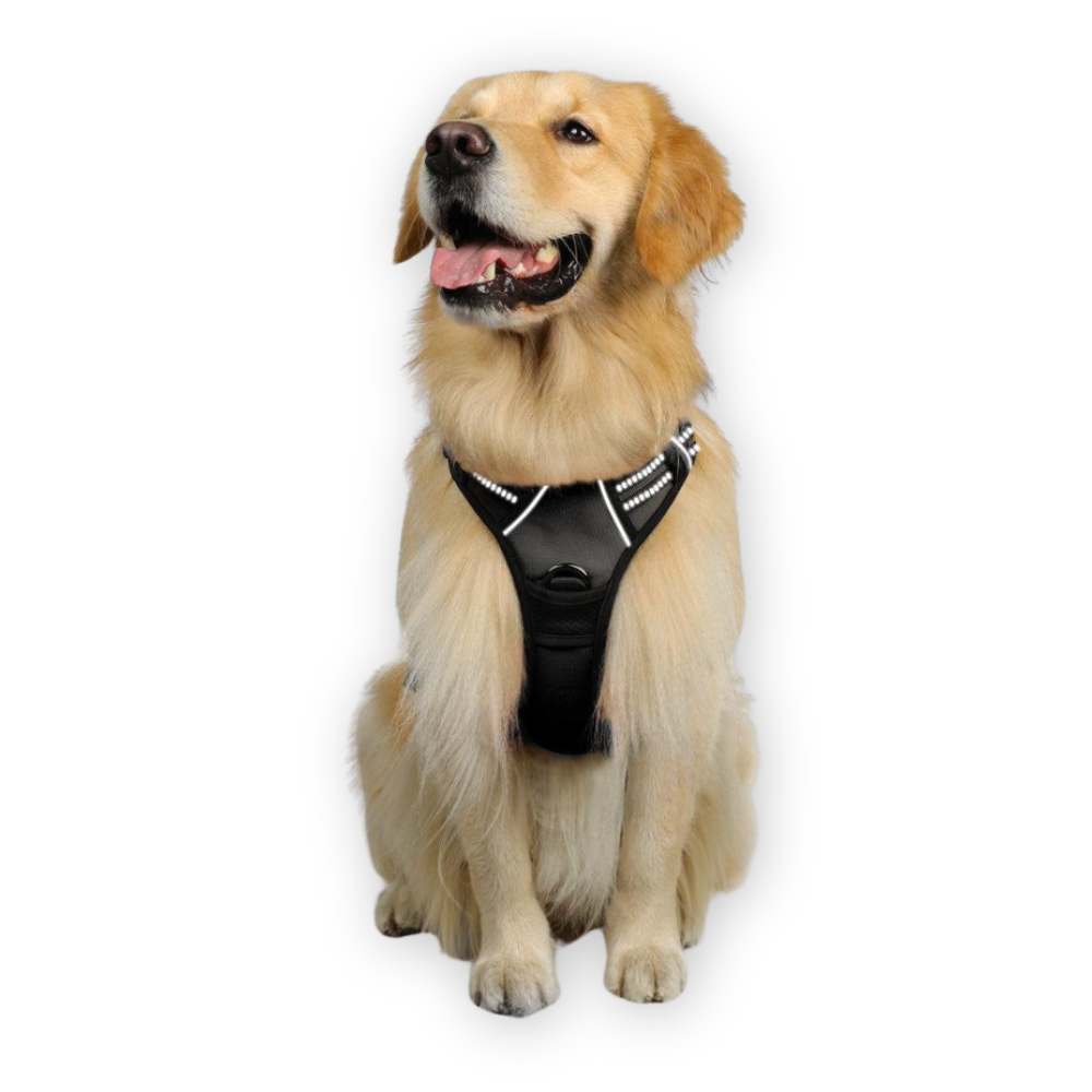 Rabbitgoo Dog Harness