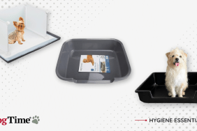 best dog litter box