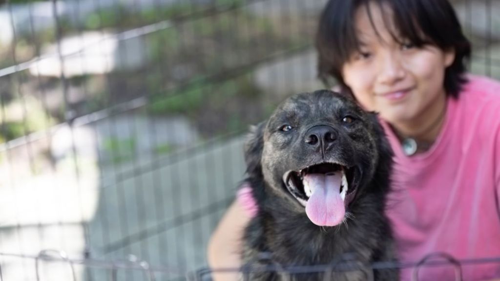 Young woman sits in outdoor playpen with the shelter dog she recently adopted to make him more comfortable.