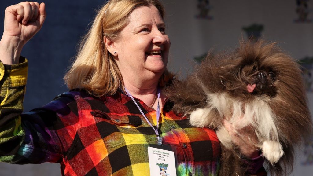 Ann Lewis holds her dog Wild Thang after winning the World's Ugliest Dog contest at the Marin-Sonoma County Fair on June 21, 2024 in Petaluma, California. A Pekingese dog named Wild Thang won the 34th annual World's Ugliest Dog contest and was awarded $5,000.