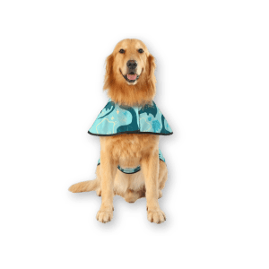 HDE Dog Raincoat