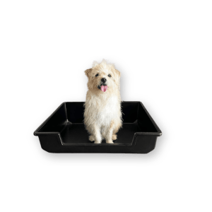 Piggy Poo Litter Box