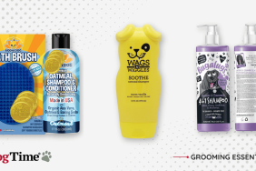 best dog shampoos lead