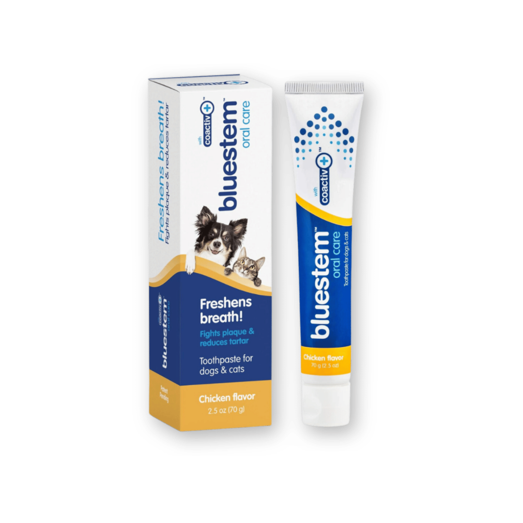 bluestem Oral Care Toothpaste