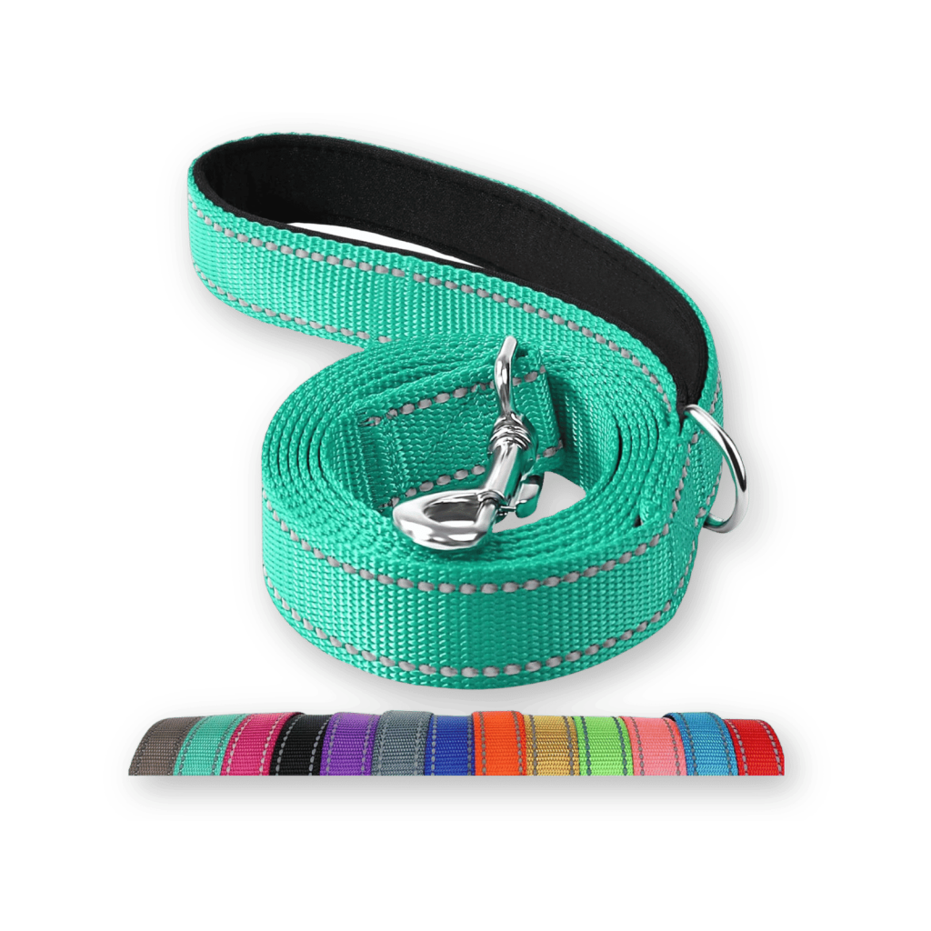 joytale_leash-best_dog_leashes joytale dog leash