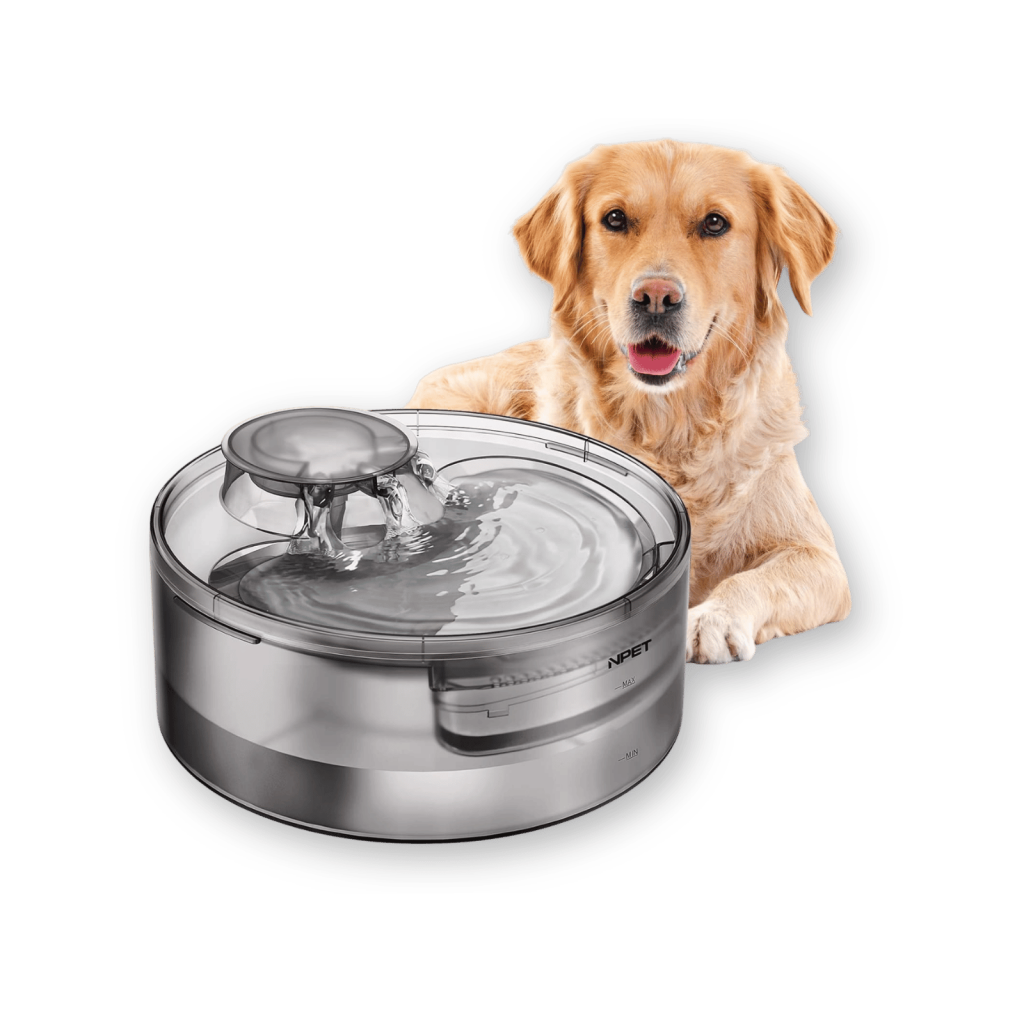 NPET Dog water fountain