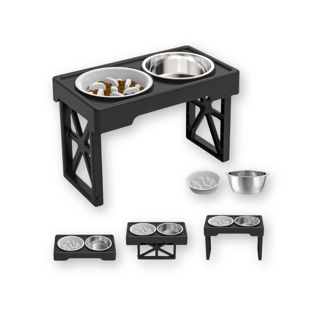 Best Elevated Dog Bowl by Ciconira