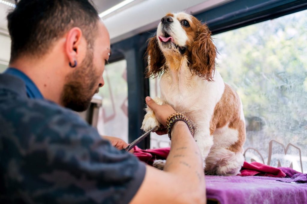 Mobile dog grooming.