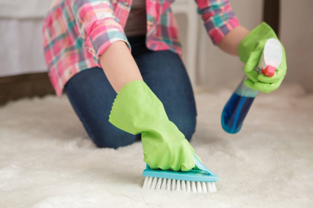 Woman scrubbing carpet with a cleaner to remove dog odor and stains.