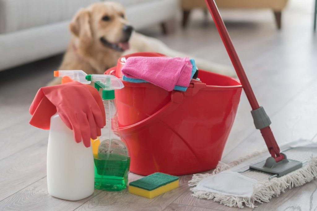 Pet odor eliminators.