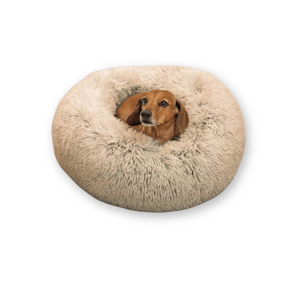 best dog bed by Sheri