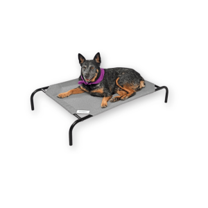 best dog bed by Coolaroo