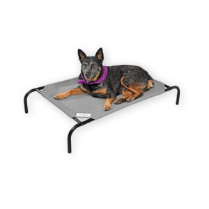 Best Dog Cooling Bed by Coolaroo