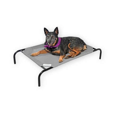 Best Dog Cooling Bed by Coolaroo