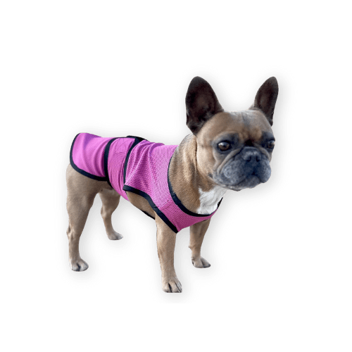 Best Dog Cooling Vest by DOGZSTUFF