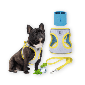 Best Dog Cooling Vest by EXPAWLORER