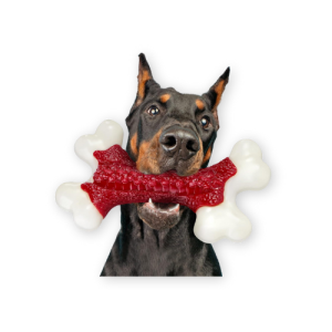 Best Indestructible Dog Toys by Kseroo