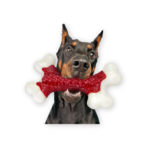 Kseroo Indestructible Bone Toy Best Indestructible Dog Toys by Kseroo