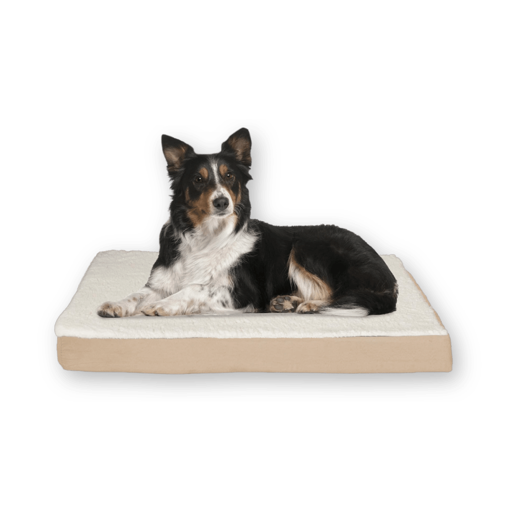 Orthopedic Dog Bed by Petmaker