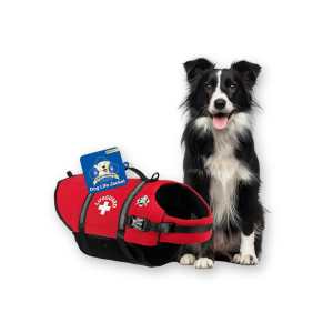 Best Dog Life Jacket by Paws