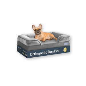 Orthopedic Dog Bed by Pitpet