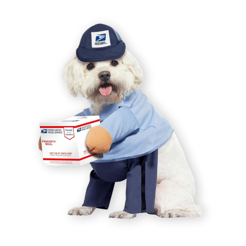 California Costumes Dog Mail Carrier